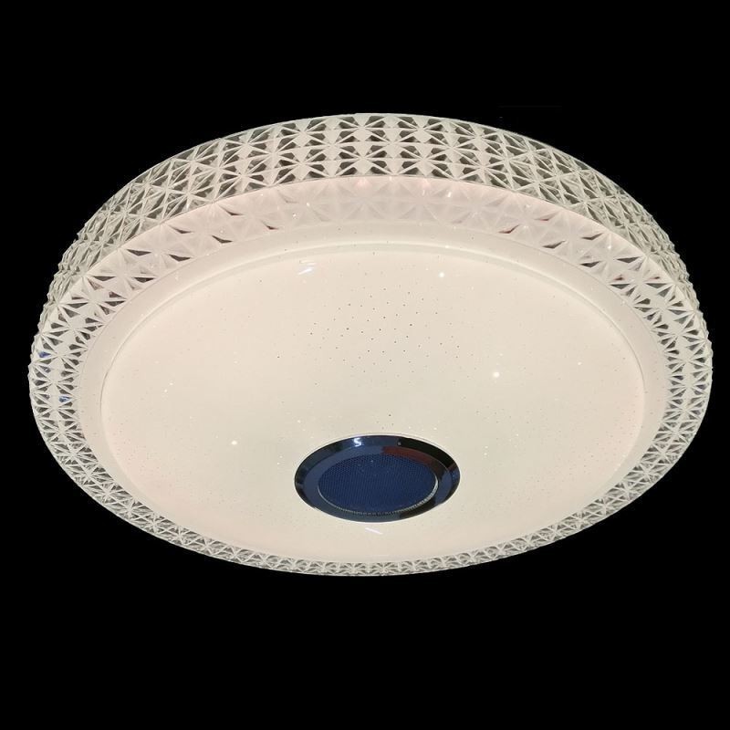 Deckenleuchte Dekorative Lampe Fernbedienung APP Steuerung Bluetooth Musik Lautsprecher Unterputz