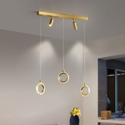 Pendelleuchte Acryl Ringleuchte mit Strahler