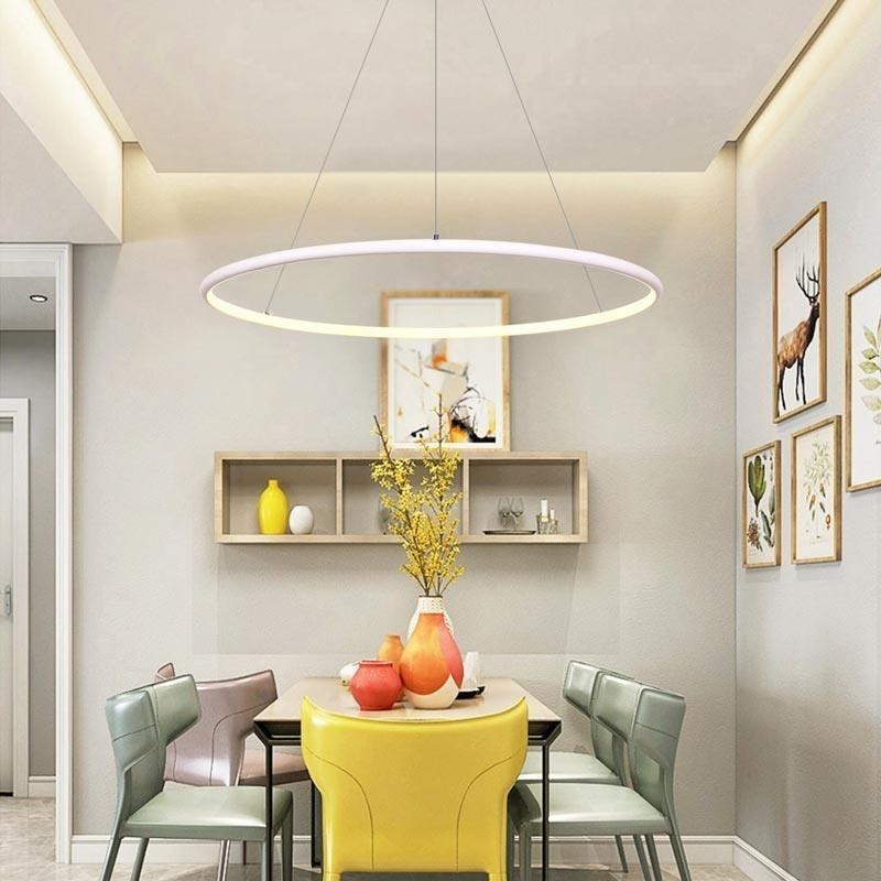 Moderne Pendelleuchte Kreislampe 60cm 80cm