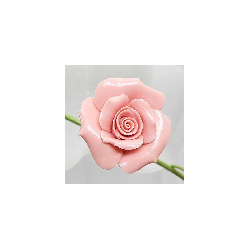Valentinstag: Die Blumen und Pflanzen des Rosengartens absorbieren das Licht der Kuppel